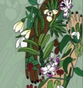 மருத்துவ மற்றும் நறுமண தாவரங்கள் பாதுகாக்கப்பட வேண்டும்